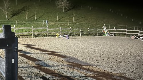 Reiterin verletzt sich in Heiden AR bei Sturz mit Pferd schwer