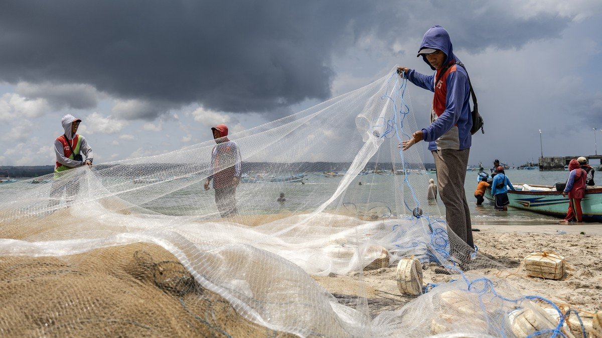 Schleppnetz-Fischerei verursacht wohl Milliardenschäden