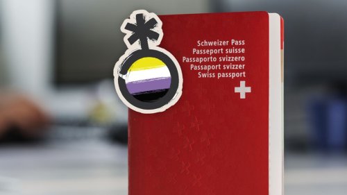 Divers im Schweizer Pass: Präzedenzfall zu Gender-Gewohnheitsrecht vor Bundesgericht