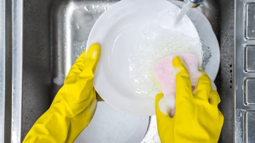So unhygienisch ist die Schweiz im Haushalt