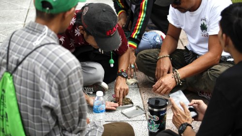 Schmuggel nimmt zu: Thailand will Cannabis-Regeln drastisch verschärfen