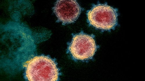 Coronavirus: Alle News zur aktuellen Situation