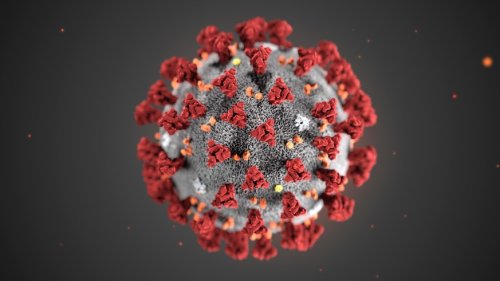 Coronavirus: Alle aktuellen News – lokal und global