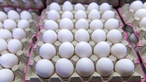 Warum es bald keine weissen Bio-Eier mehr gibt