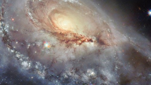 Verformte Schönheit: Hubble wirft einen neuen Blick auf die Galaxie Arp 184