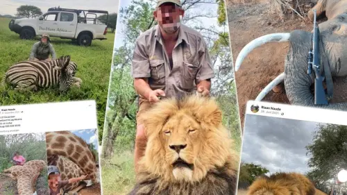 Er tötete wohl hunderte Tiere – berüchtigter Trophäenjäger in Südafrika erschossen