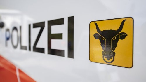 Zwei Unfälle: Fluchtfahrer rammt Polizeiauto – Motorradfahrer fährt in Wildschwein