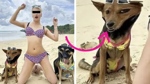 Fails! Yay!