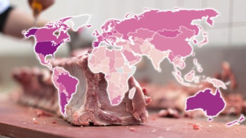 Ein Blick über den Tellerrand – so viel Fleisch isst die Schweiz im weltweiten Vergleich