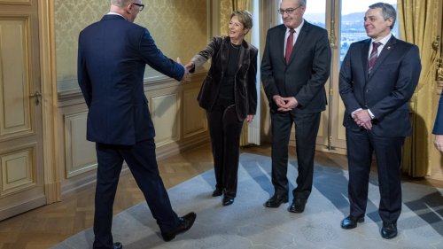 Martin Pfister muss sich gegen die Alphatiere im Bundesrat behaupten – kann er das?