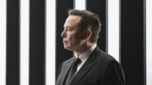 Musk ruft indirekt zur AfD-Wahl auf – das deutsche Aussenministerium reagiert prompt