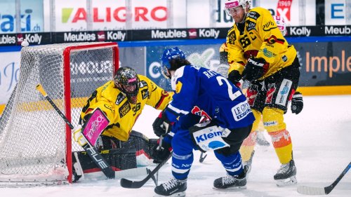 Fribourg bestätigt das Break gegen Bern souverän – Tambellini-Show beim zweiten HCD-Sieg