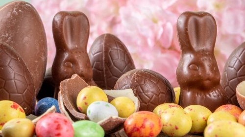 Von 1.20 bis 20 Franken: So unterschiedlich teuer sind die beliebtesten Osterhasen