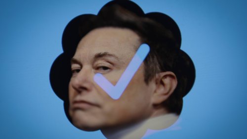 Twitter-Apokalypse: Was passiert, wenn Elon Musk versagt?