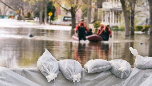 Schutz vor Naturkatastrophen: Neues Portal soll rechtzeitig warnen