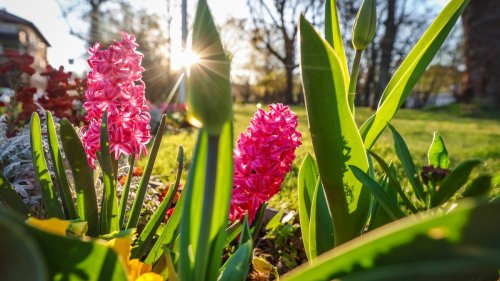 Wetter-Prognose vor Ostern erstaunt selbst Meteorologen – "was für eine Wetterwende"