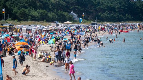 Beim Urlaub an der Ostsee: Giftschlange versetzt Touristen in große Sorge