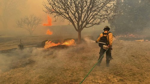 Historischer Waldbrand in Texas hat drastische Folgen für das Klima