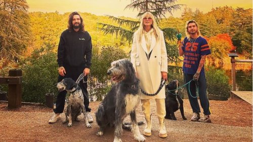 Heidi Klum: Alle Hunde plötzlich tot – Tom Kaulitz hat schrecklichen Verdacht