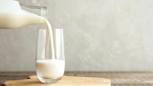 Neue vegane Milch-Alternative: Schmeckt wie Kuhmilch, kommt aber aus dem Bioreaktor