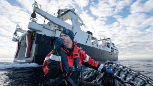Sea-Shepherd-Kapitän kämpft gegen Krillfischerei: "Unser Leben hängt davon ab"