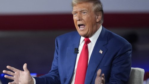 Trump-Zölle: Kanadier weiten Boykott gegen USA auf Tech-Riesen aus