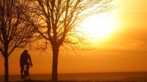 Von der Wüste zu uns: Saharastaub beeinflusst Umwelt und Gesundheit