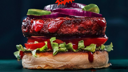 Vegan-Burger gewinnt Preis – User sind entsetzt: "Pervers"