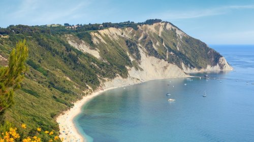 Italien: Miesmuscheln in der Adria bedroht – Urlaubsregion fordert drastische Maßnahme
