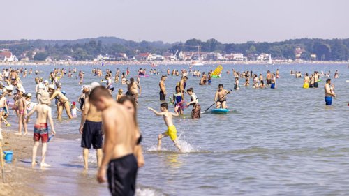 Urlaub an der Ostsee: Quallen und Bakterien werden ein großes Problem