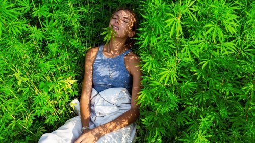 Faule Kiffer: Die häufigsten Mythen über Cannabis enttarnt