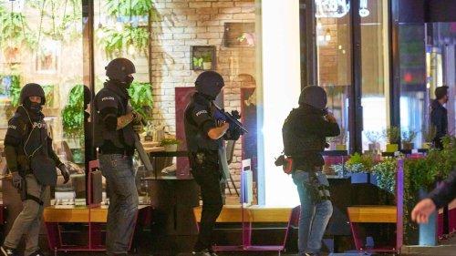 Terror-Experte nennt Polizeieinsatz in Wien "hochprofessionell und konsequent"

