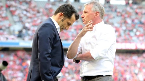 "Gibt Menge Schmerzensgeld": So arbeiten Bundesliga-Sportchefs während der Transferphase