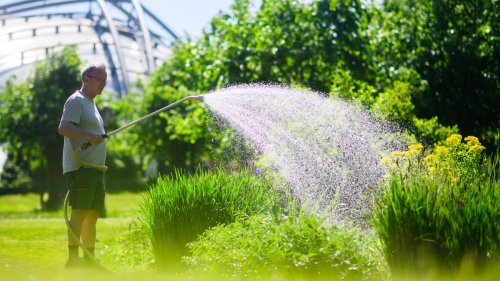 Dürresommer 2025: Hannover verbietet das Bewässern von Gärten