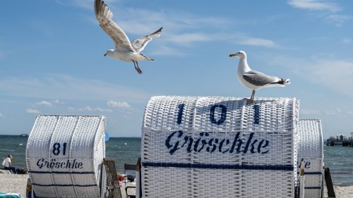 Ostsee-Urlaub: Erster Toter durch Vibrionen – Gefahr beim Baden im Meer