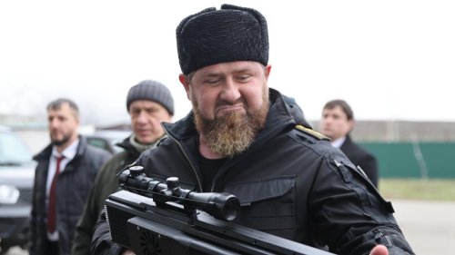 Pferd von "Putins Bluthund" Kadyrow gestohlen – Tier stand auf Sanktionsliste