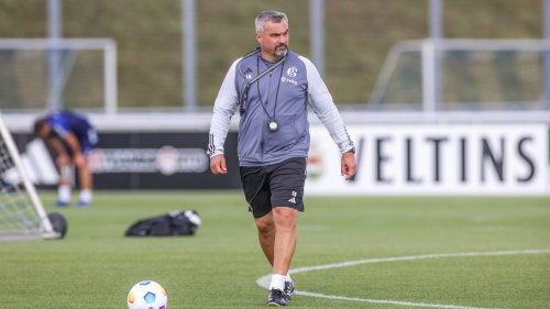 FC Schalke: Heftige Vorwürfe gegen Ex-Coach Reis – Top-Kandidat auf Nachfolge sagt ab