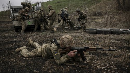 Ukraine verlor zu Kriegsbeginn Millionen wegen Fake-Waffenlieferungen