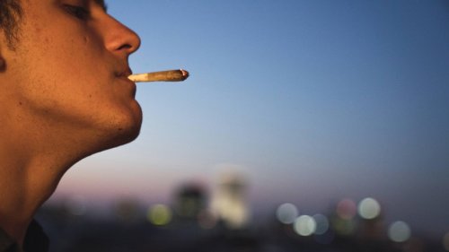 Die Cannabis-Legalisierung kommt – bis wir kiffen dürfen, dauert es aber noch