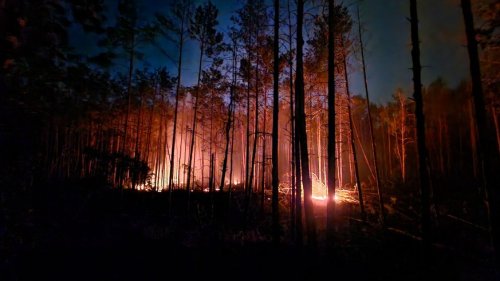 Waldbrand bei Jüterbog: Wie heikel die Lage ist – und warum die Klimakrise sie noch verschärft
