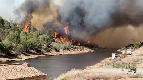 Trotz Regen-Rekord: Spanien drohen extreme Waldbrände