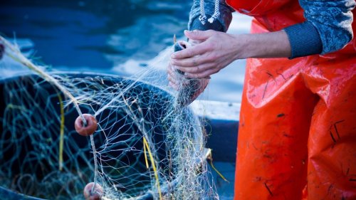 EU will stärker gegen Überfischung vorgehen