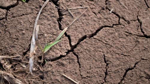 Wetter steht weltweit Kopf: Experte zeigt sich besorgt