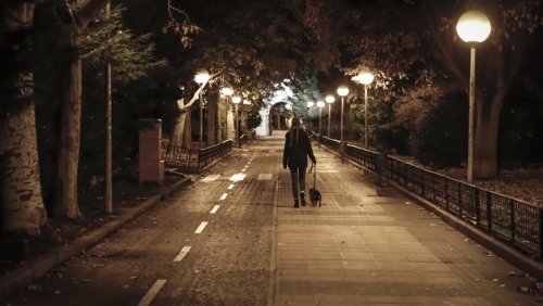 Energie sparen: Hundekot bringt Straßenlaternen zum Leuchten