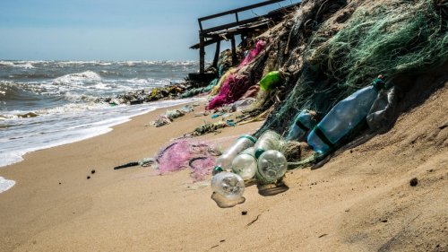 Kalifornien: Erstes US-Gesetz zur Reduzierung von Einwegplastik verabschiedet