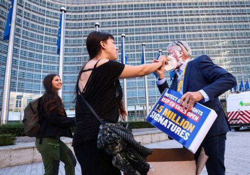 Ryanair: Klimaaktivistinnen werfen Chef eine Torte ins Gesicht