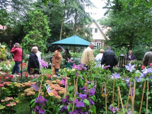 „Blumen & Ambiente“ auf Gut Wienhausen: Gewinnen Sie Tickets für das Gartenfestival