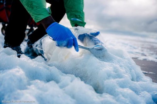 Trinkwasser und Abwasser Kreis Gifhorn: Belastung durch PFAS gering