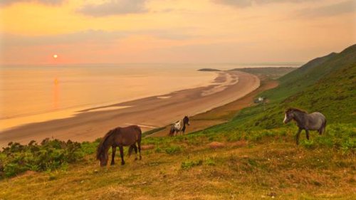Wales: Verängstigtes Fohlen stürzt in den Tod – Touristen wollten Selfie machen