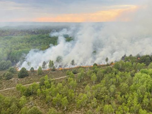 Jüterbog-Waldbrand aktuell: Neue Rauchwolken über den Baumkronen